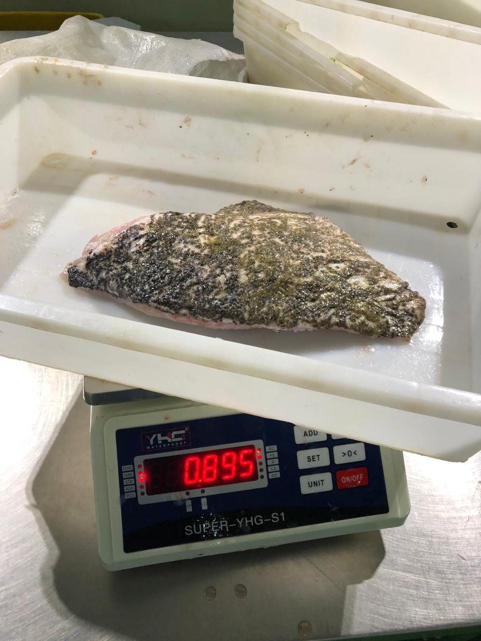 WhatsApp Image 2025-12-25 at 08.28.12 (2)