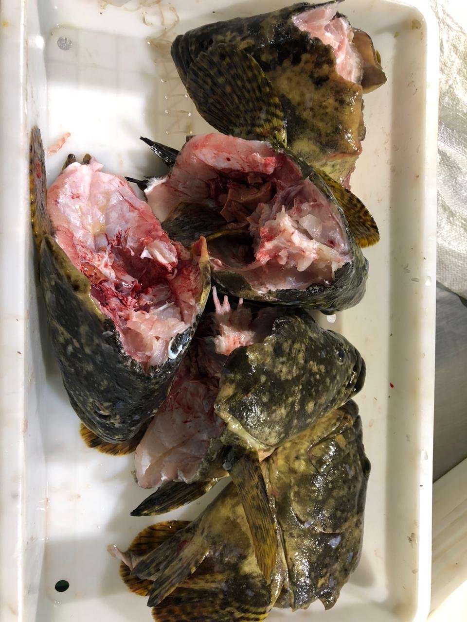 WhatsApp Image 2025-12-25 at 08.28.12 (3)