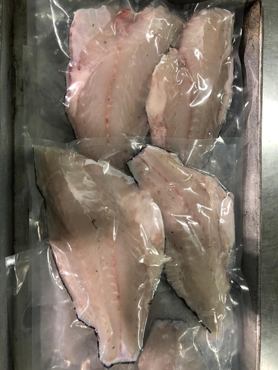 WhatsApp Image 2025-12-25 at 08.28.12