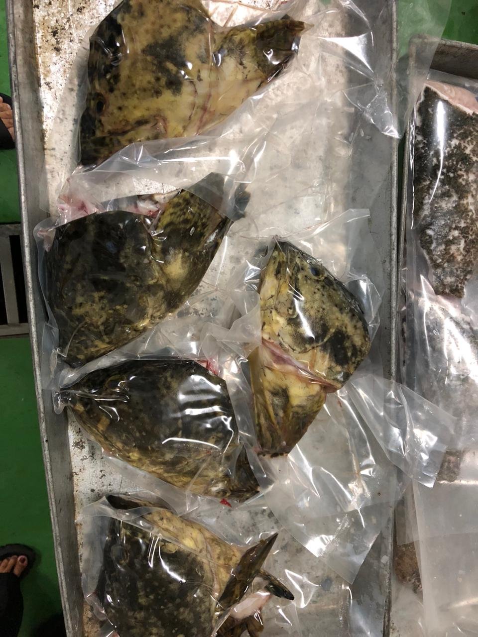 WhatsApp Image 2025-12-25 at 08.28.13